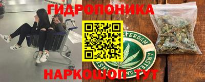 стафф Чебоксары
