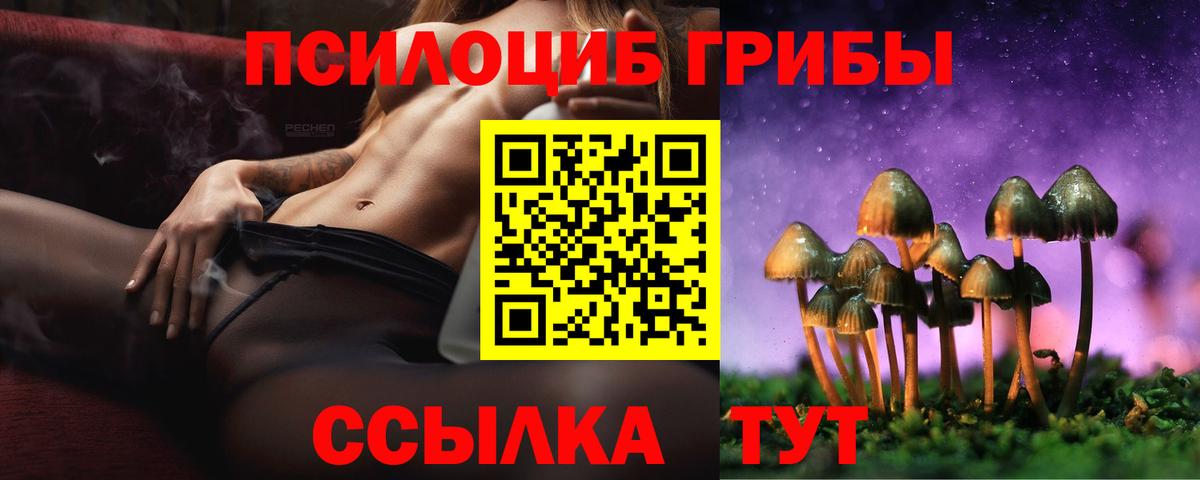 Псилоцибиновые грибы GOLDEN TEACHER  Вход с VPN  Комсомольск-на-Амуре 